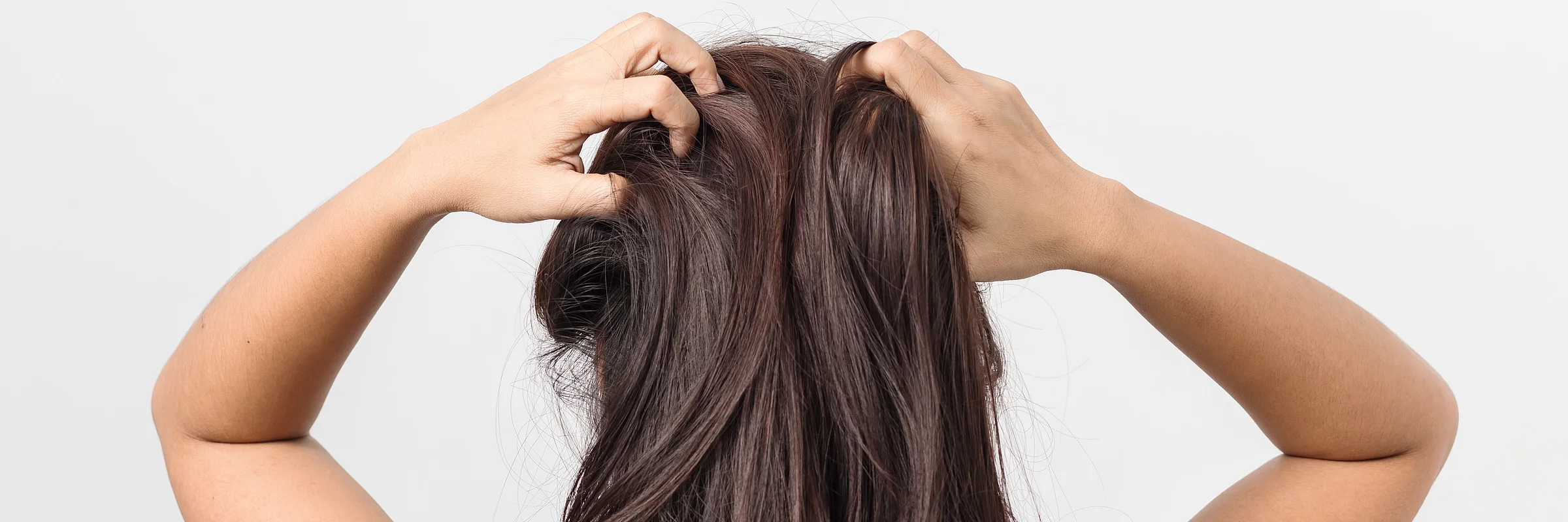 Scalp-Micro-Haarpigmentierung